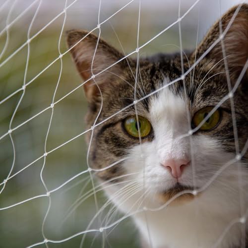Katzennetz Für Balkon & Fenster - 8 X 3 M - Balkonnetz Transparent Und Reißfest - Extragroßes Und Langlebiges Katzenschutznetz Inkl. Montagematerial(2x1.5M) von BANTASE