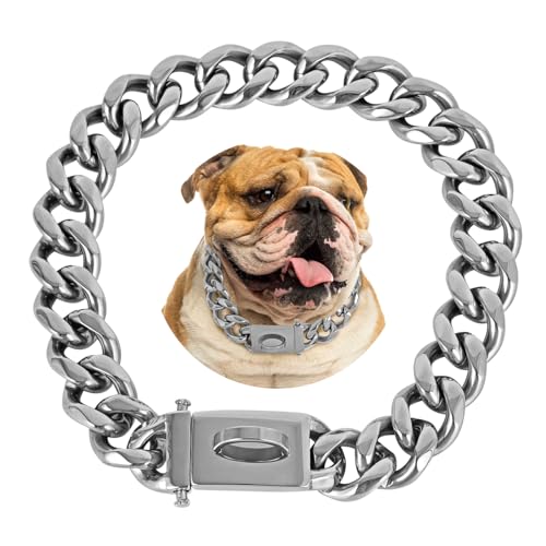 BAOBOTE Goldfarbene Hundekette, 20 mm, kubanisches Glieder-Hundehalsband mit Design, sichere Schnalle, kubanische Glieder, stark, robust, kaufest, für mittelgroße Hunde (66 cm, Silber) von BAOBOTE