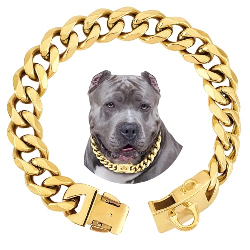 BAOBOTE Hundehalsband mit goldfarbener Kette, 19 mm, luxuriöses goldfarbenes kubanisches Glieder-Hundehalsband mit sicherer Schnappschnalle für große Pitbulls (35,6 cm Gold) von BAOBOTE