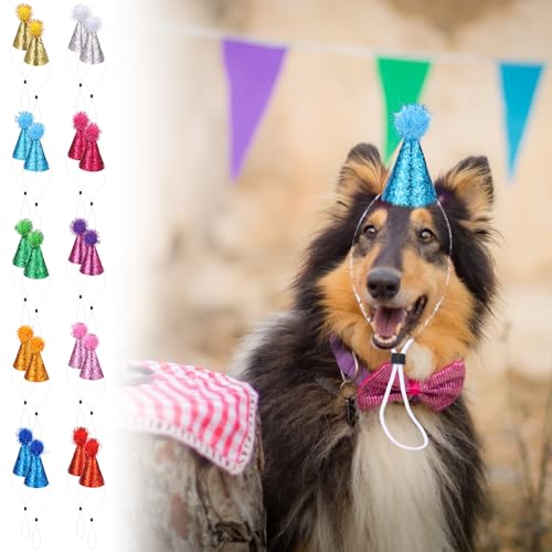 BAODBF 20 Stück Partyhüte für Hunde,Hundehut mit Bommeln und Glitzerndem,Verstellbare Katzen Hüte,Hund Geburtstag Hut,Party Geburtstagshut für Katze,Hund BAODBF 20 Stück Partyhüte für Hunde,Hundehut mit Bommeln und Glitzerndem,Verstellbare Katzen Hüte,Hund Geburtstag Hut,Party Geburtstagshut für Katze,Hund von BAODBF