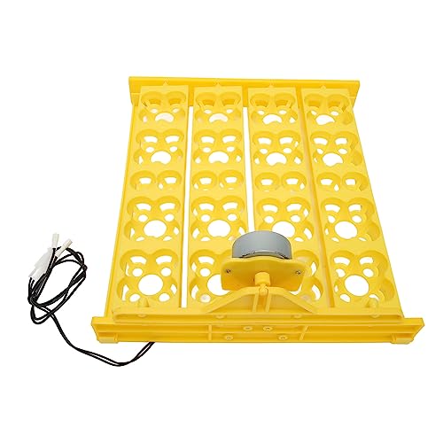 BAOFUYA Eierdrehtablett, Professionelles Hatcher Hatcher Box Case Tray Hohles und Atmungsaktives Eiertablett 12,8 X 11,4 Zoll Brutmaschinen Dreheiertablett (AC220V) von BAOFUYA