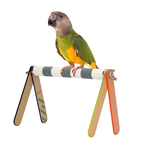 BAOFUYA Tragbarer Vogelspielständer, Bunte Acrylplatte, einfach zu montierender Vogelspielständer aus Holz, Spielplatz für Haustiervögel Kohlenstoffgrün von BAOFUYA