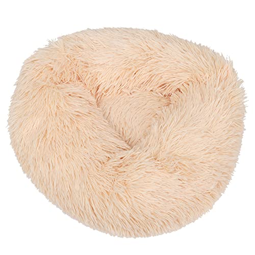BAOFUYA Warmes Plüsch-Haustier Bett, Hunde-Haustier Matte, Rutsch Feste Unterseite, Bequeme Matte für Kleine Hunde Katzen, Winter Kissen Geeignet Rosa Gelb Dunkelgrau Lila XS M L BAOFUYA Warmes Plüsch-Haustier Bett, Hunde-Haustier Matte, Rutsch Feste Unterseite, Bequeme Matte für Kleine Hunde Katzen, Winter Kissen Geeignet Rosa Gelb Dunkelgrau Lila XS M L von BAOFUYA