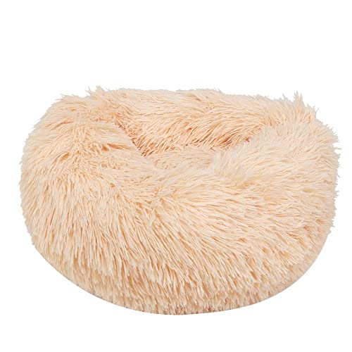 BAOFUYA Warmes Plüsch-Haustier Bett, Hunde-Haustier Matte, Rutsch Feste Unterseite, Bequeme Matte für Kleine Hunde Katzen, Winter Kissen Geeignet Rosa Gelb Dunkelgrau Lila XS M L BAOFUYA Warmes Plüsch-Haustier Bett, Hunde-Haustier Matte, Rutsch Feste Unterseite, Bequeme Matte für Kleine Hunde Katzen, Winter Kissen Geeignet Rosa Gelb Dunkelgrau Lila XS M L von BAOFUYA