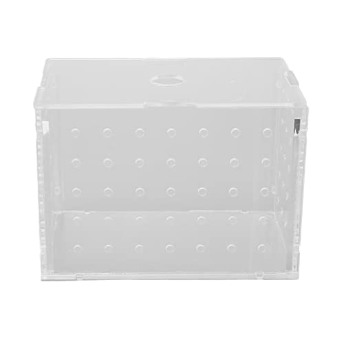 Fischzuchtbox, Praktisch und Bequem Aquarienfischzuchtbox Deckel Design Fischisolationszuchtbox für die Fischisolationszucht und -aufzucht (9 * 6 * 7 cm) von BAOFUYA