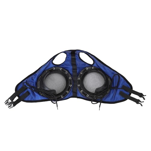 Horse Racing Eye Protector, Einstellbares Design Metall und Ledermaterial Vielseitiger Schutz der Pferdehülle für Gurtvorräte von BAOFUYA