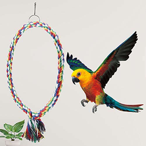 Robust und Farbenfrohe Vogelseil Swing -Spielzeug Stabil und Farbenfrohe Vogelseilbarch für Papageien, Kleine Mittlere Vögel, Einfache Installation, Metallring, Großartige Bewegung Stressabbau Robust und Farbenfrohe Vogelseil Swing -Spielzeug Stabil und Farbenfrohe Vogelseilbarch für Papageien, Kleine Mittlere Vögel, Einfache Installation, Metallring, Großartige Bewegung Stressabbau von BAOFUYA