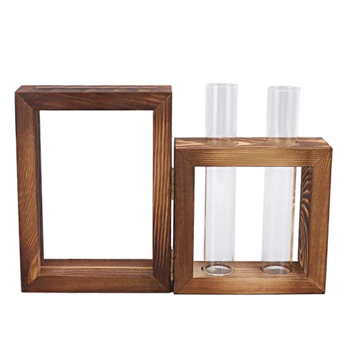 Terrarien, Modische und Dekorative Holzständer mit 2 Reagenzglas, Glashydroponik -Propagationsstation für Grubenreben, Afrikanische Veilchen, Glückliche Pflanzenverbreitungsstation, Easy von BAOFUYA
