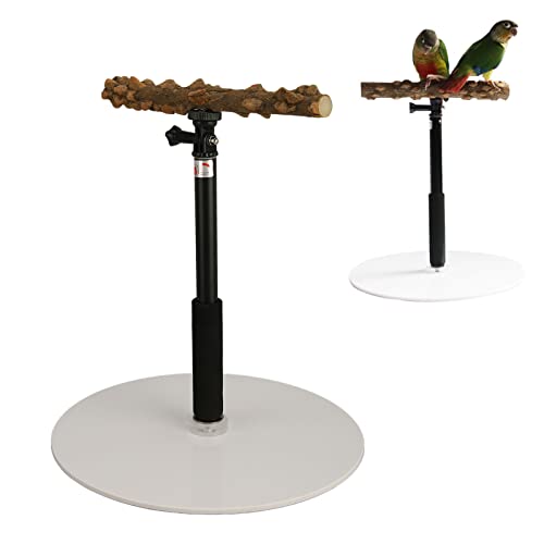 Verstellbarer Vogelsitzständer mit Abnehmbarem Design, Hochwertige Materialien, Robust und Langlebig, für Sittiche, Kanarienvögel, Nymphensittiche, Wellensittiche von BAOFUYA