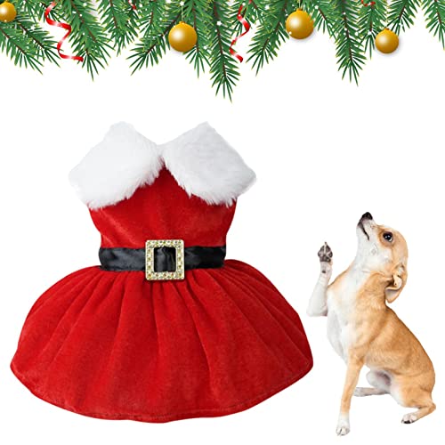 BAOK Hund Santa Anzug, Lovely Dog Christmas Party Outfit, Funny Pet Cosplay Kleidung Gold Samt Stoff Hund Kostüm Anzug Welpe Party Kostüm Hund Katze Warm Winterkleid von BAOK