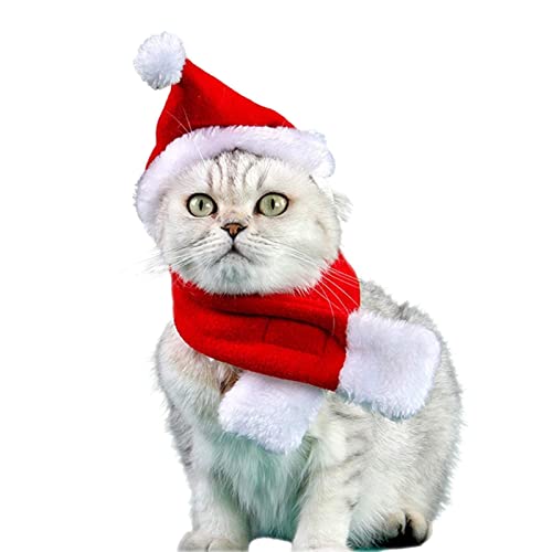 BAOK Hundekostüm mit Weihnachtsmannmütze und Schal | Haustierkostüm für Halloween, Katzen, kleine Hunde, Weihnachtsmütze, Schal-Set, Urlaubsparty, niedliche Kostüme für kleine Hunde und Katzen von BAOK