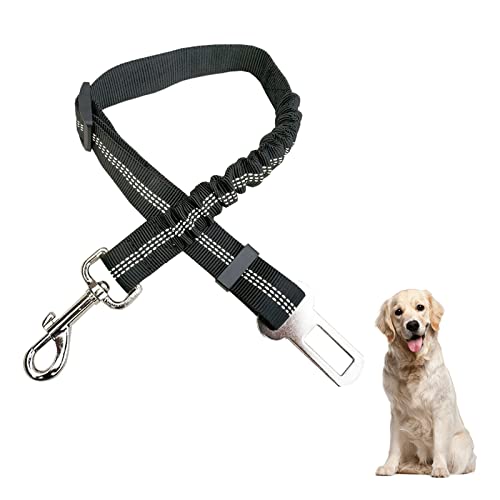 BAOSROY Anschnallgurt Hund Auto, Hunde Sicherheitsgurt, Verstellbarer Hundegurt aus Elastischem Nylon für Hunde und Katzen, Schwarz BAOSROY Anschnallgurt Hund Auto, Hunde Sicherheitsgurt, Verstellbarer Hundegurt aus Elastischem Nylon für Hunde und Katzen, Schwarz von BAOSROY