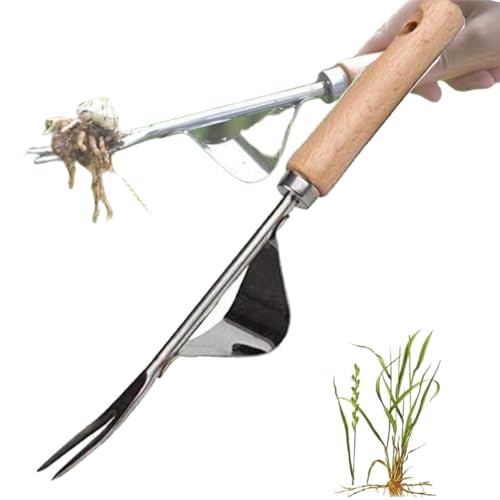 BAOSROY Unkrautstecher Edelstahl,Manueller Unkrautjäter,Wurzeljäter mit Holzgriff,Fugenkratzer mit Stiel,Fugenkratzer Unkraut Garten,Fugenreiniger Unkrautkratzer Manueller Weeder,für Jäten,Lösen von BAOSROY