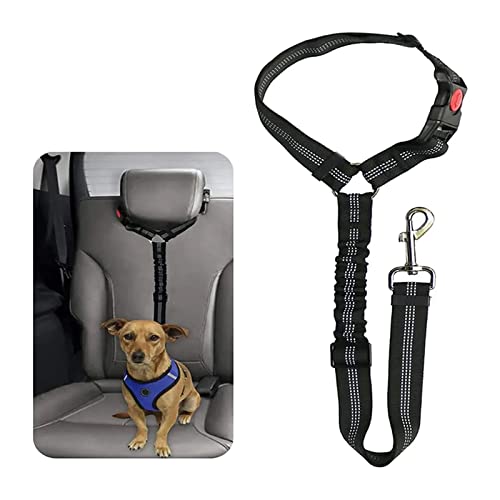 BAOSROY Hunde Sicherheitsgurt, Anschnallgurt Hund Auto, Verstellbarer Hundegurt aus Elastischem Nylon, mit Reflektierendem Elastikstreifen für Hunde, Schwarz BAOSROY Hunde Sicherheitsgurt, Anschnallgurt Hund Auto, Verstellbarer Hundegurt aus Elastischem Nylon, mit Reflektierendem Elastikstreifen für Hunde, Schwarz von BAOSROY