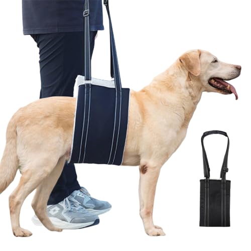 Hunde Tragehilfe,Verstellbare Gehhilfe für Hunde,Hundegeschirr,Hunde Tragehilfe für Treppen,Ganzkörper Tragehilfe für Hunde,Tragehilfe Hunde Gehhilfe,Hinten Lift Support Geschirr Kleine,Mittelgroße Hunde Tragehilfe,Verstellbare Gehhilfe für Hunde,Hundegeschirr,Hunde Tragehilfe für Treppen,Ganzkörper Tragehilfe für Hunde,Tragehilfe Hunde Gehhilfe,Hinten Lift Support Geschirr Kleine,Mittelgroße von BAOSROY