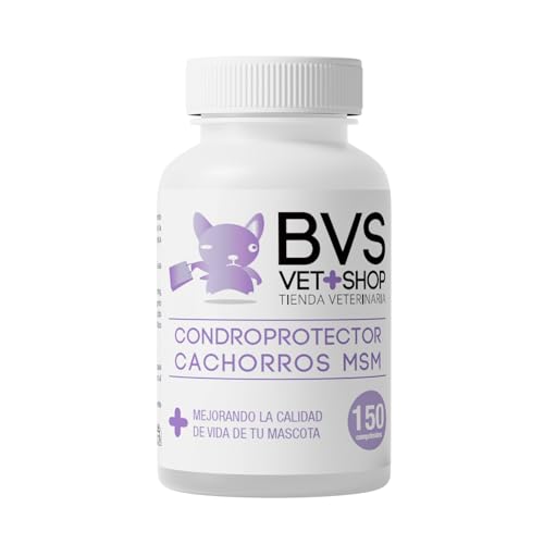 Barakaldo Vet Shop | MSM Chondroprotektor für Hunde | Formel für Welpen, Ernährungsunterstützung zur Förderung des guten physiologischen Zustands der Gelenke | 600 Tabletten Barakaldo Vet Shop | MSM Chondroprotektor für Hunde | Formel für Welpen, Ernährungsunterstützung zur Förderung des guten physiologischen Zustands der Gelenke | 600 Tabletten von BARAKALDO VET+SHOP TIENDA VETERINARIA