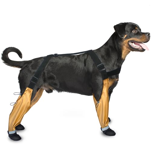 Verstellbares Geschirr – Stil Hundeschuhe mit reflektierenden Streifen, rutschfest und wasserdicht, Pfotenschutz für alle Jahreszeiten, Größe M Verstellbares Geschirr – Stil Hundeschuhe mit reflektierenden Streifen, rutschfest und wasserdicht, Pfotenschutz für alle Jahreszeiten, Größe M von BARAVI