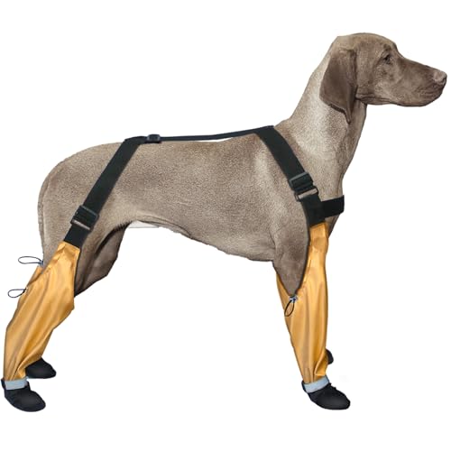 Wasserdichte Hundestiefel, Hundepfotenschutz für kleine und mittelgroße Hunde, Hundeschuhe rutschfest für Schneeregen, rutschfeste Hundeschuhe mit Hosenträgern, kleine mittelgroße Hundeschuhe zum Wasserdichte Hundestiefel, Hundepfotenschutz für kleine und mittelgroße Hunde, Hundeschuhe rutschfest für Schneeregen, rutschfeste Hundeschuhe mit Hosenträgern, kleine mittelgroße Hundeschuhe zum von BARAVI