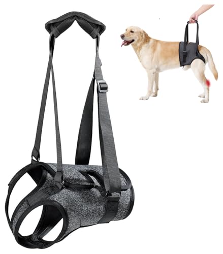 BARDIMIES Hundegeschirr zur Unterstützung der Hinterbeine, verstellbare Hinterbeinschlinge für große/mittelgroße Hunde, nach Operationen, zur Linderung von Schwäche, atmungsaktives Nylon BARDIMIES Hundegeschirr zur Unterstützung der Hinterbeine, verstellbare Hinterbeinschlinge für große/mittelgroße Hunde, nach Operationen, zur Linderung von Schwäche, atmungsaktives Nylon von BARDIMIES