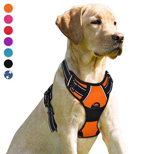 BARKBAY Dog Harness No-Pull Pet Harness Adjustable Outdoor Pet Vest Front Clip Heavy Duty 3M Reflective Oxford Material Vest for Dogs Easy Control for Small Medium Large(Orange,M) Dogs(Orange,M) von BARKBAY