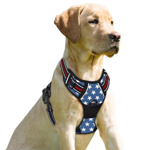 BARKBAY Hundegeschirr, kein Ziehen, Frontclip, strapazierfähig, reflektierend, einfache Kontrolle, Griff für große Hunde (Stern, XS) von BARKBAY