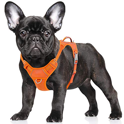 BARKBAY Hundegeschirr, kein Ziehen, groß, reflektierend, mit Frontclip und einfachem Griff für Spaziergänge, Training, Laufen, mit ID-Tag-Tasche (Orange, S) von BARKBAY