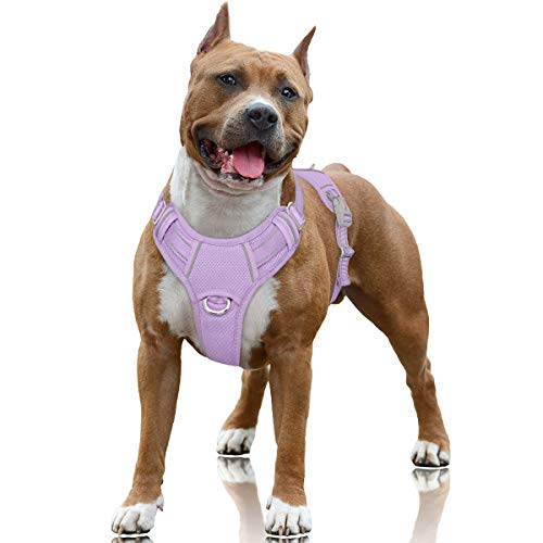BARKBAY Hundegeschirr, kein Ziehen, groß, reflektierend, mit Frontclip und einfachem Griff für Spaziergänge, Training, Laufen mit ID-Tasche (Violett, L) von BARKBAY