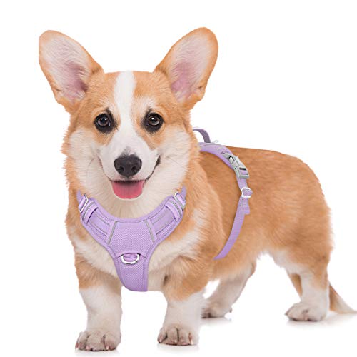 BARKBAY Hundegeschirr, kein Ziehen, groß, reflektierend, mit Frontclip und einfachem Griff für Spaziergänge, Training, Laufen mit ID-Tasche (Violett, M) von BARKBAY