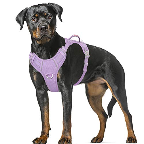 BARKBAY Hundegeschirr, kein Ziehen, groß, reflektierend, mit Frontclip und einfachem Griff für Spaziergänge, Training, Laufen mit ID-Tasche (Violett, XL) von BARKBAY