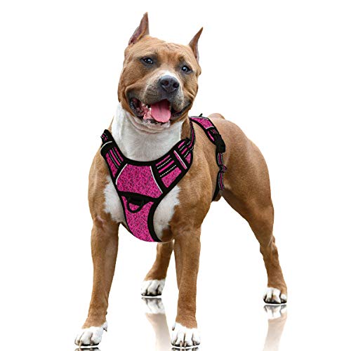 BARKBAY Hundegeschirr, kein Ziehen, groß, reflektierend, mit Frontclip und einfachem Griff für Spaziergänge, Training, Laufen mit ID-Tasche (rosa/schwarz, L) von BARKBAY