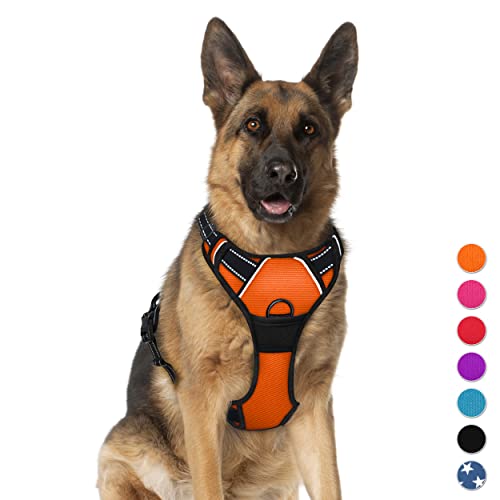 BARKBAY Hundegeschirr, kein Ziehen, groß, reflektierend, mit Frontclip und leicht zu bedienendem Griff für Spaziergänge, Training, Laufen (Orange, XL) von BARKBAY