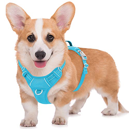 BARKBAY Hundegeschirr, kein Ziehen, groß, reflektierendes Hundegeschirr, mit Frontclip und leicht zu bedienendem Griff für Spaziergänge, Training, Laufen, mit ID-Tag-Tasche (blau, M) von BARKBAY