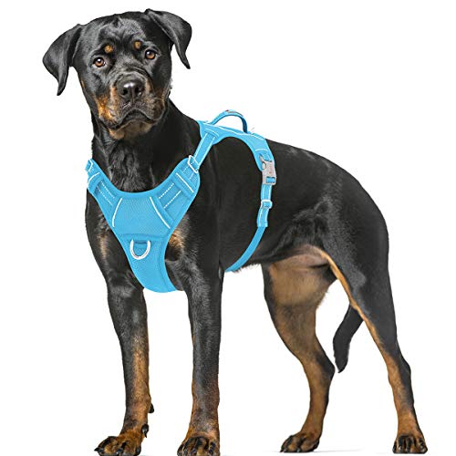 BARKBAY Hundegeschirr, kein Ziehen, groß, reflektierendes Hundegeschirr, mit Frontclip und leicht zu bedienendem Griff für Spaziergänge, Training, Laufen, mit ID-Tag-Tasche (blau, XL) von BARKBAY