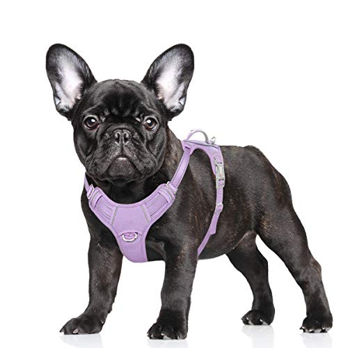 BARKBAY Hundegeschirr, kein Ziehen, großes reflektierendes Hundegeschirr, mit Frontclip und einfachem Griff, für Spaziergänge, Training, Laufen, mit ID-Tag-Tasche (violett, S) von BARKBAY