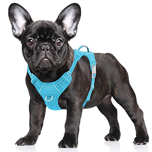 BARKBAY Hundegeschirr, kein Ziehen, großes reflektierendes Hundegeschirr mit Frontclip und leicht zu bedienendem Griff für Spaziergänge, Training, Laufen, mit ID-Tag-Tasche (ozeanblau, S) von BARKBAY