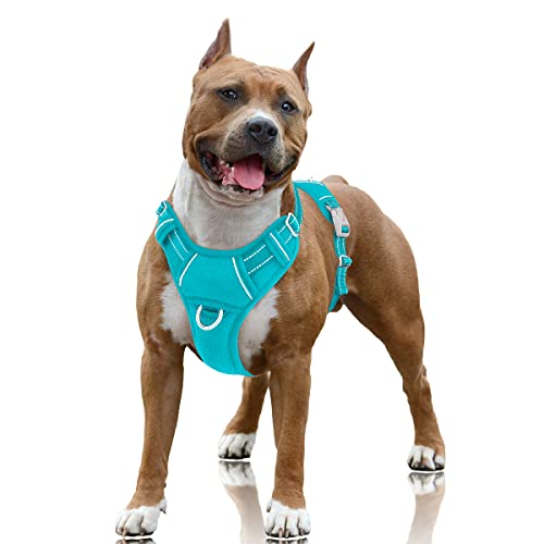 BARKBAY Hundegeschirr, kein Ziehen, reflektierend, mit Frontclip und Griff zur einfachen Kontrolle für Spaziergänge, Training, Laufen, mit ID-Tag-Tasche (Ozeanblau, Größe L) von BARKBAY