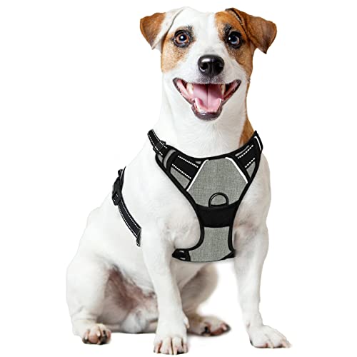 BARKBAY No Pull Dog Harness Front Clip Heavy Duty Reflective Easy Control Handle for Large Dog Walking(Flint Gray,M) von BARKBAY