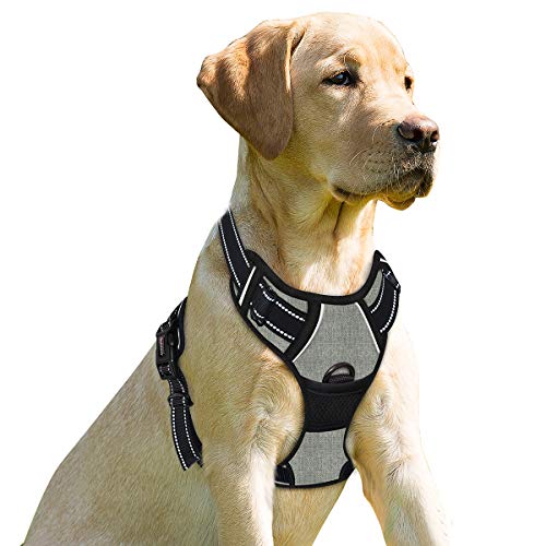 BARKBAY No Pull Dog Harness Front Clip Heavy Duty Reflective Easy Control Handle for Large Dog Walking(Flint Gray,S) von BARKBAY