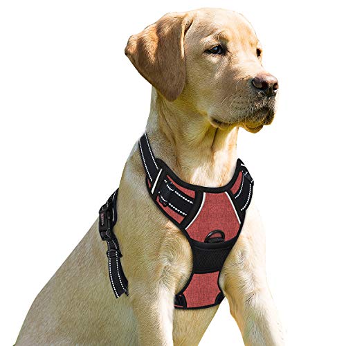 BARKBAY No Pull Dog Harness Front Clip Heavy Duty Reflective Easy Control Handle for Large Dog Walking(Rio Red,M) von BARKBAY