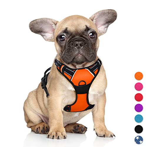 BARKBAY No Pull Hundegeschirr, groß, reflektierend, mit Frontclip und einfacher Kontrolle, für Spaziergänge, Training, Laufen (Orange, S) von BARKBAY