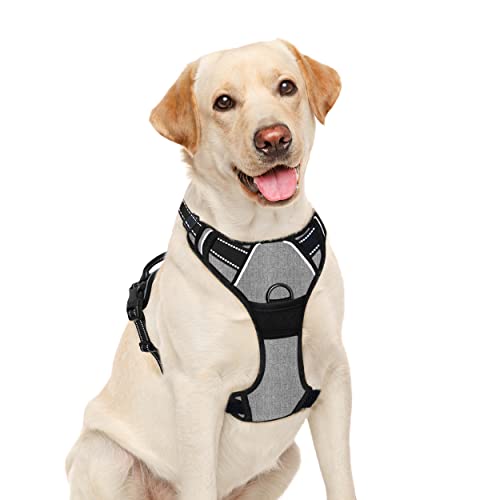 BARKBAY No Pull Dog Harness Front Clip Heavy Duty Reflective Easy Control Handle for Large Dog Walking(Flint Gray,L) von BARKBAY