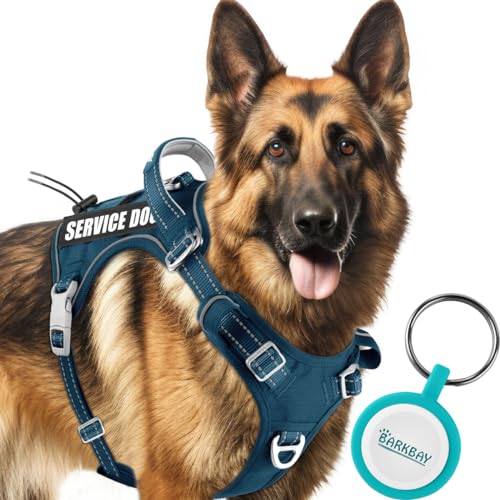 BARKBAY Service-Hundegeschirr, taktisches Hundegeschirr, Größe M und L, personalisierbar, kein Ziehen, verstellbares Hundegeschirr, reflektierend, Arbeitstraining, einfache Kontrolle, militärisches von BARKBAY