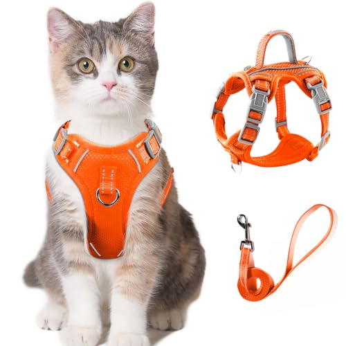 Katzengeschirr und Leine, Set zum Spazierengehen, ausbruchsicher, für kleine, große Katzen, Kätzchen, Geschirr mit ID-Tag (Orange, S) von BARKBAY