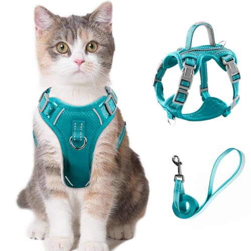 Katzengeschirr und Leine, Set zum Spazierengehen, ausbruchsicher, für kleine und große Katzen, mit ID-Tag-Tasche (Blau, XS) von BARKBAY