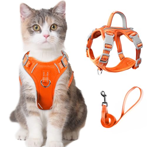 Katzengeschirr und Leine, Set zum Spazierengehen, ausbruchsicher für kleine, große Katzen, Kätzchen, mit Ausweisfach (Orange, XS) von BARKBAY