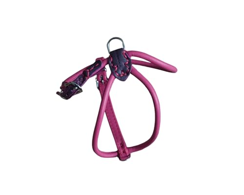 BARRY & LUCY® Hundegeschirr aus Leder - weiches Finish, verstellbares Hundegeschirr, Geschirr für große und kleine Hunde, viele Größen und Farben, klassisch und elegant, 10mm- 51/61cm Rosa von BARRY & LUCY