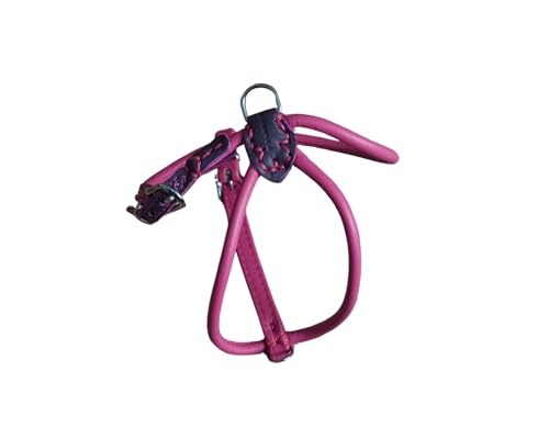 BARRY & LUCY® Hundegeschirr aus Leder - weiches Finish, verstellbares Hundegeschirr, Geschirr für große und kleine Hunde, viele Größen und Farben, klassisch und elegant, 10mm- 50/60cm Rosa von BARRY & LUCY