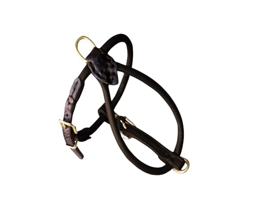 BARRY & LUCY® Hundegeschirr aus Leder - weiches Finish, verstellbares Hundegeschirr, Geschirr für große und kleine Hunde, viele Größen und Farben, klassisch und elegant, 10mm- 51/61cm Schwarz von BARRY & LUCY