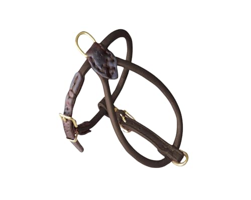 BARRY & LUCY® Hundegeschirr aus Leder - weiches Finish, verstellbares Hundegeschirr, Geschirr für große und kleine Hunde, viele Größen und Farben, klassisch und elegant, 6mm- 34/44cm Braun von BARRY & LUCY