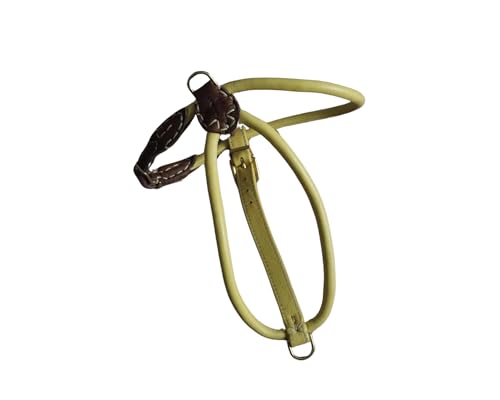 BARRY & LUCY® Hundegeschirr aus Leder - weiches Finish, verstellbares Hundegeschirr, Geschirr für große und kleine Hunde, viele Größen und Farben, klassisch und elegant, 6mm- 33/46cm Creme von BARRY & LUCY